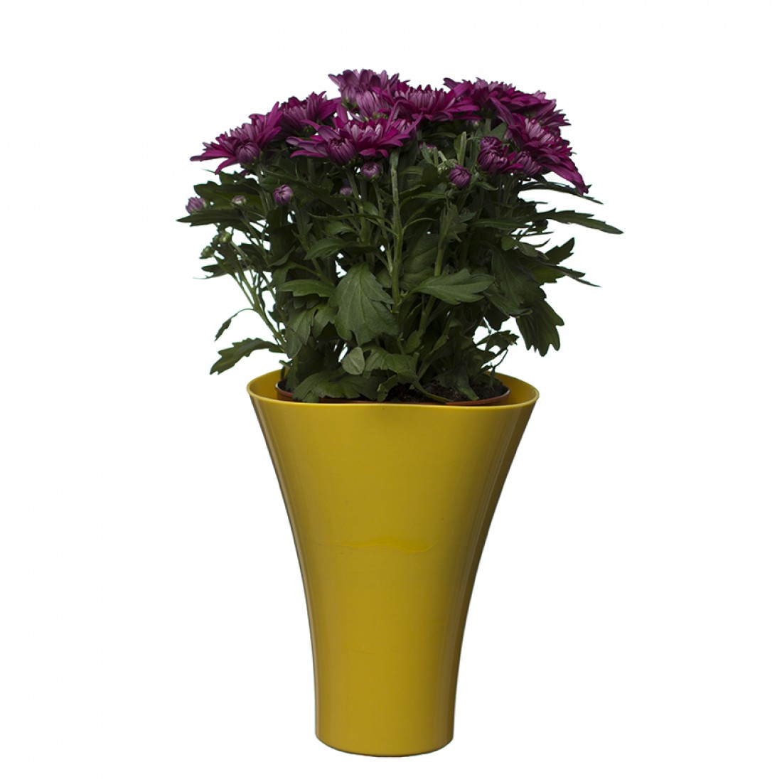 Flower Pots Wave Long Yellow